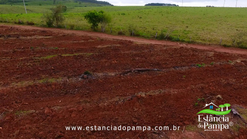 DOS EÓLICOS VIRA P FAZENDA_Moment.00_01_37_22.Quadro219_0c48ce8a975b80a0ac6ad6b9d641fa50861e5e03.jpg